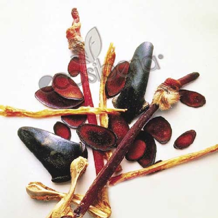 các bộ phân của hươu các bộ phân của hươu