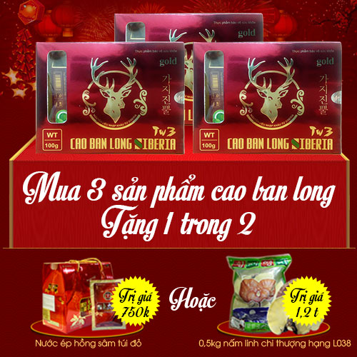 Cao ban long Sibiri loại gói 100g NH001