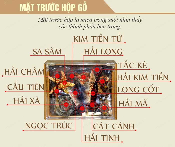Bộ tăng cường sinh lý nam cao cấp SL014 2 Bộ tăng cường sinh lý nam cao cấp SL014 2