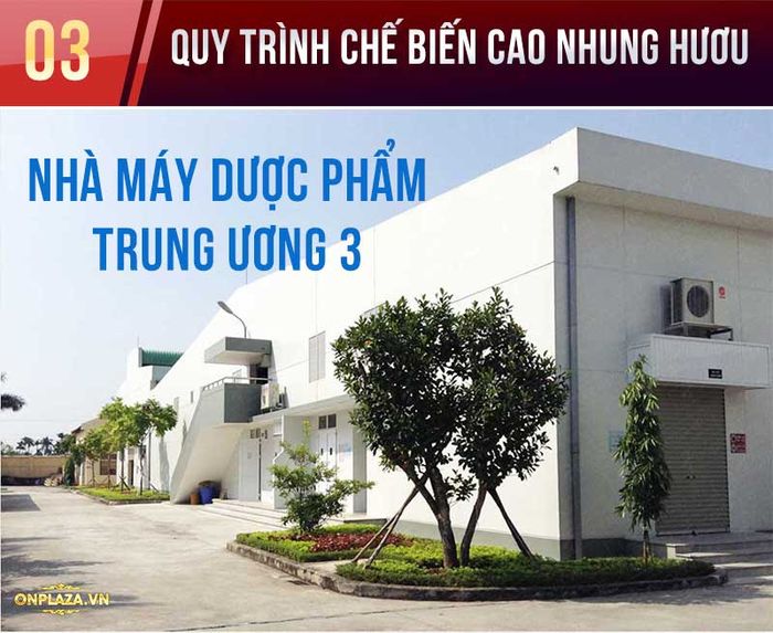 Quy trình chế biến cao nhưng hươu 1 Quy trình chế biến cao nhưng hươu 1