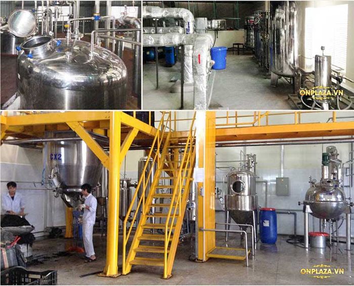 Quy trình chế biến cao nhưng hươu 2 Quy trình chế biến cao nhưng hươu 2