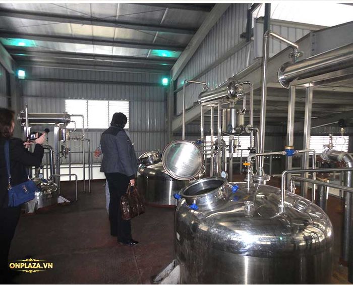 Quy trình chế biến cao nhưng hươu 3 Quy trình chế biến cao nhưng hươu 3