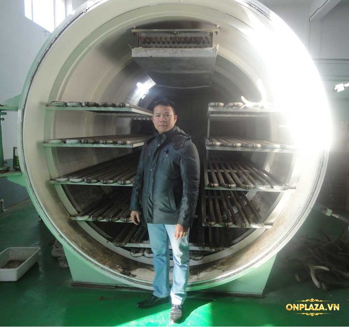 Nhung hươu tươi liên bang nga 20 Nhung hươu tươi liên bang nga 20