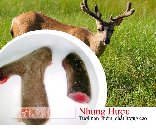 [Image: leech-1454467961.jpg]