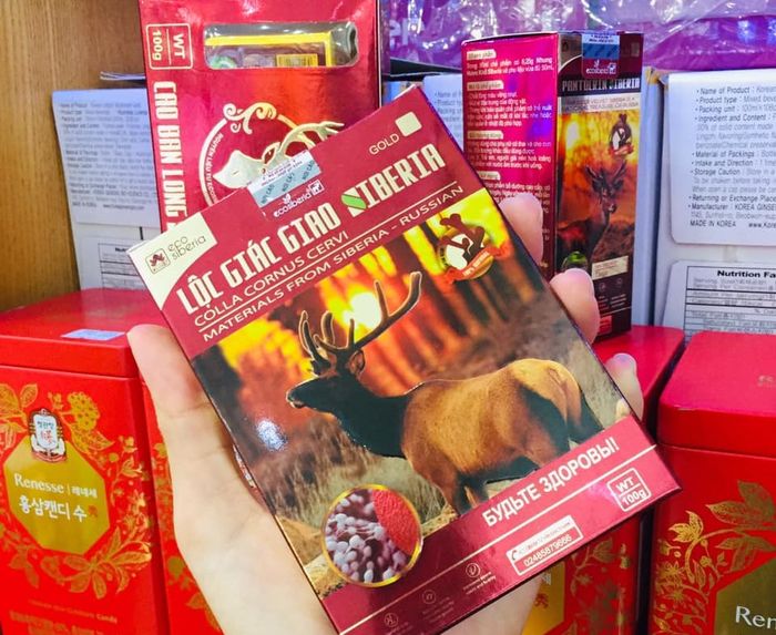 Lộc giác giáo siberia 1 Lộc giác giáo siberia 1