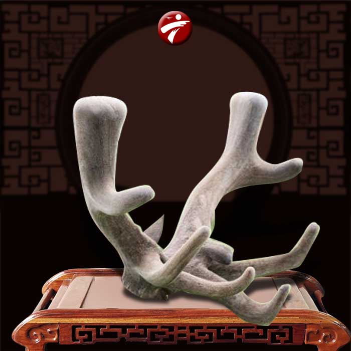 Lộc nhung hươu sao Liên Bang Nga