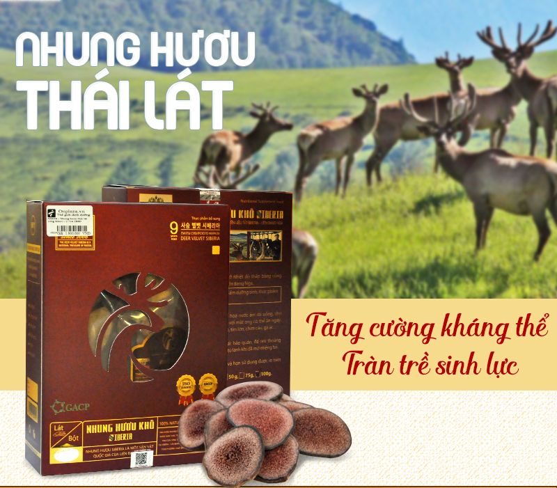 Nhung hươu sấy khô thái lát Pankal Liên Bang Nga NH004 1 Nhung hươu sấy khô thái lát Pankal Liên Bang Nga NH004 1
