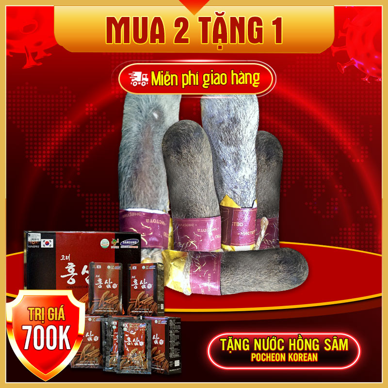 Lộc nhung hươu tươi hoang dã ( săn bắn) loại 1kg NH009
