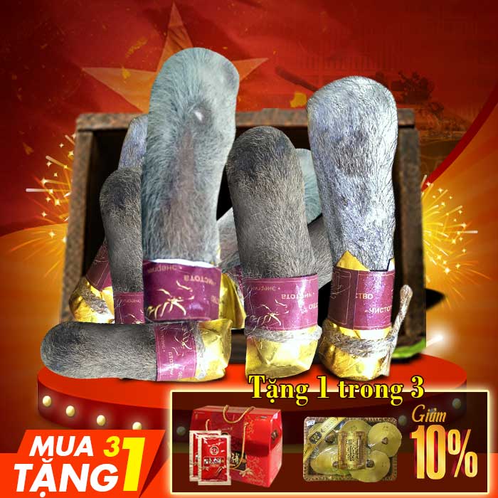 Lộc nhung hươu tươi hoang dã ( săn bắn) loại 1kg NH009