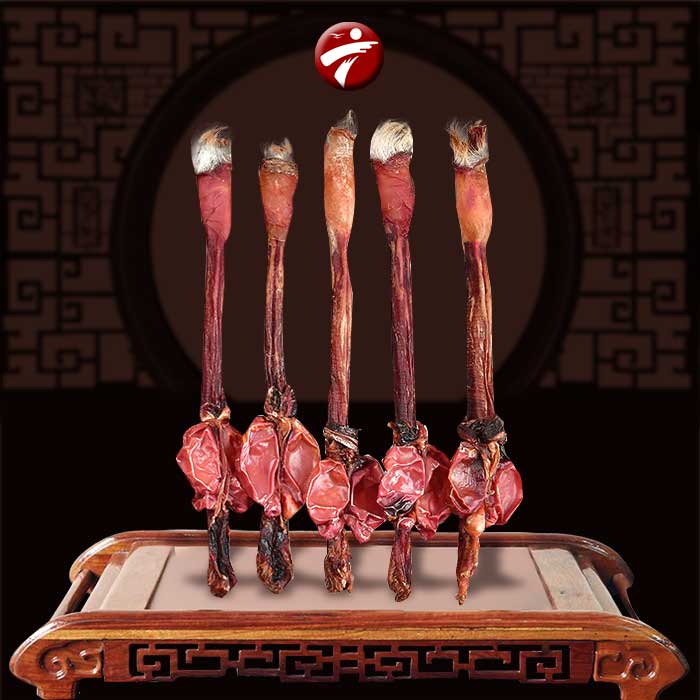 Pín hươu (bộ phận sinh dục hươu) Pín hươu (bộ phận sinh dục hươu)