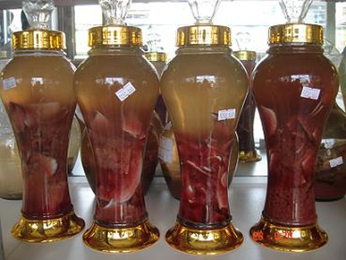 rượu nhung hươu 2 rượu nhung hươu 2