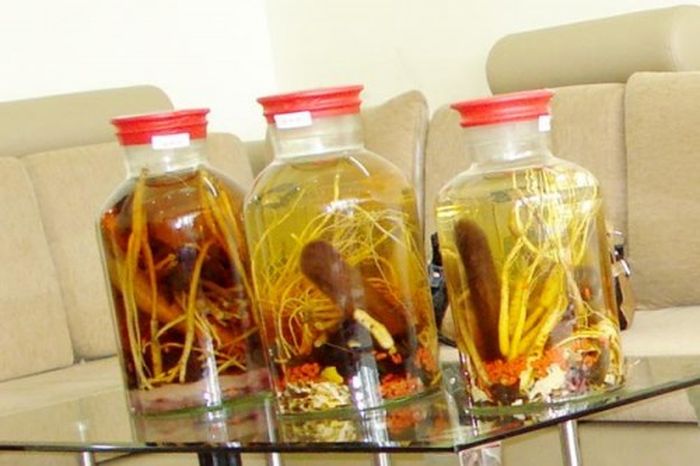 rượu nhung hươu 4 rượu nhung hươu 4
