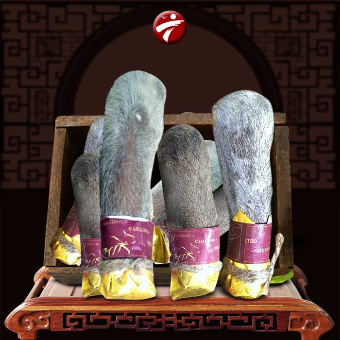 Lộc nhung hươu tươi hoang dã ( săn bắn) loại 1kg NH009