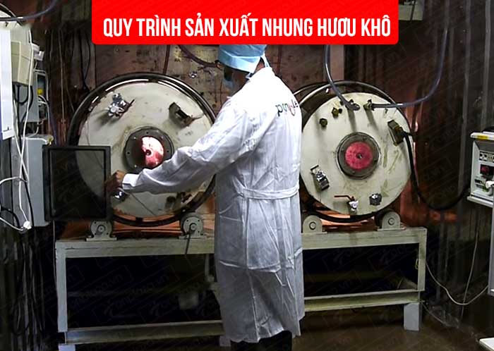 Huyết nhung hươu Pantogematogen huyet nhung huou 500 Huyết nhung hươu Pantogematogen